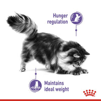 Royal Canin Appetite Control Care Cat Food