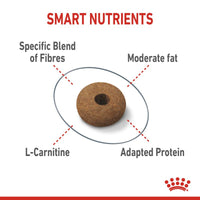 Royal Canin Appetite Control Care Cat Food