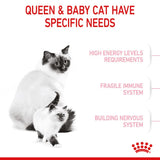 Royal Canin Mother & Babycat Cat Food