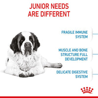 Royal Canin Giant Junior Dog Food