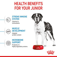 Royal Canin Giant Junior Dog Food