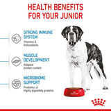 Royal Canin Giant Junior Dog Food