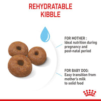 Royal Canin Giant Starter Mother & Babydog Dog Food
