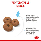 Royal Canin Giant Starter Mother & Babydog Dog Food
