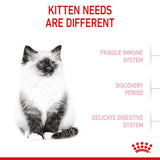 Royal Canin Kitten Cat Food
