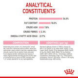 Royal Canin Kitten Cat Food