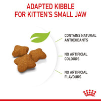 Royal Canin Kitten Sterilised Cat Food