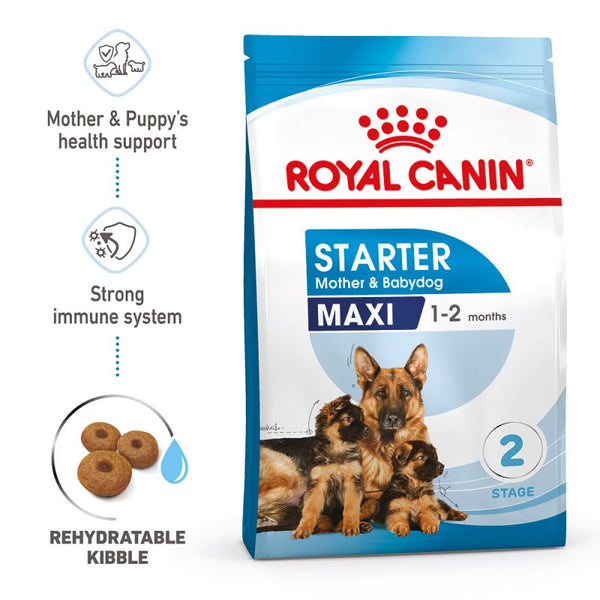 Royal Canin Maxi Starter Mother Babydog Dog Food PETSGANG