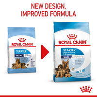 Royal Canin Maxi Starter Mother & Babydog Dog Food