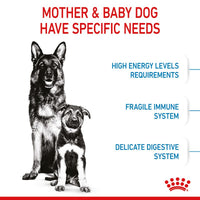 Royal Canin Maxi Starter Mother & Babydog Dog Food