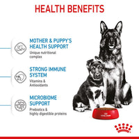 Royal Canin Maxi Starter Mother & Babydog Dog Food