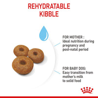 Royal Canin Maxi Starter Mother & Babydog Dog Food