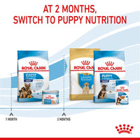Royal Canin Maxi Starter Mother & Babydog Dog Food