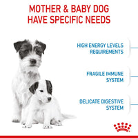 Royal Canin Mini Starter Mother & Babydog Dog Food