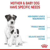 Royal Canin Mini Starter Mother & Babydog Dog Food