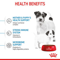 Royal Canin Mini Starter Mother & Babydog Dog Food