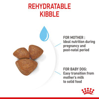 Royal Canin Mini Starter Mother & Babydog Dog Food