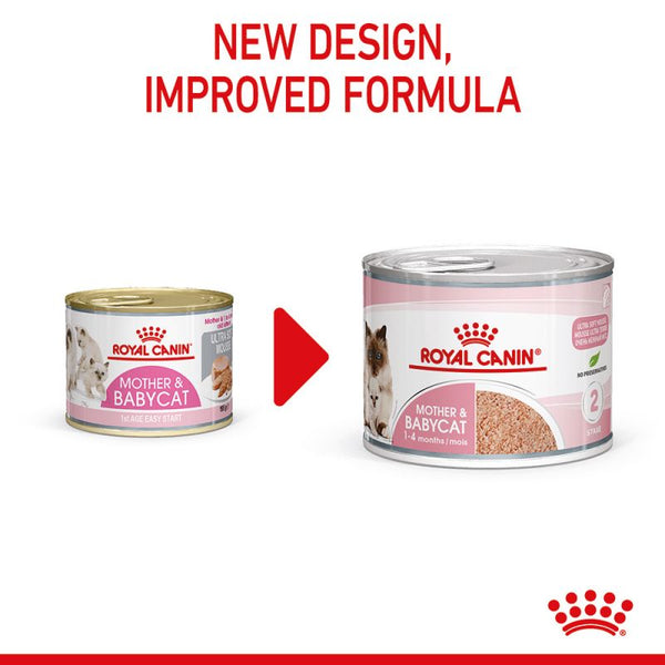 Royal canin mother store and baby cat review