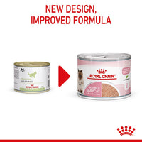 Royal Canin Mother & Babycat Ultra Soft Mousse Cat Food