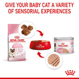 Royal Canin Mother & Babycat Ultra Soft Mousse Cat Food