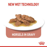 Royal Canin Indoor Sterilised in Gravy Wet Cat Food