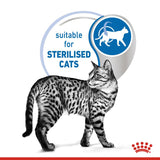 Royal Canin Indoor Sterilised in Jelly Cat Food