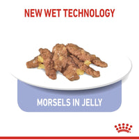 Royal Canin Indoor Sterilised in Jelly Cat Food