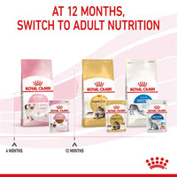 Royal Canin Kitten in Gravy Wet Cat Food