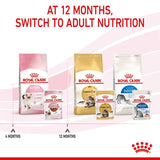 Royal Canin Kitten in Gravy Wet Cat Food