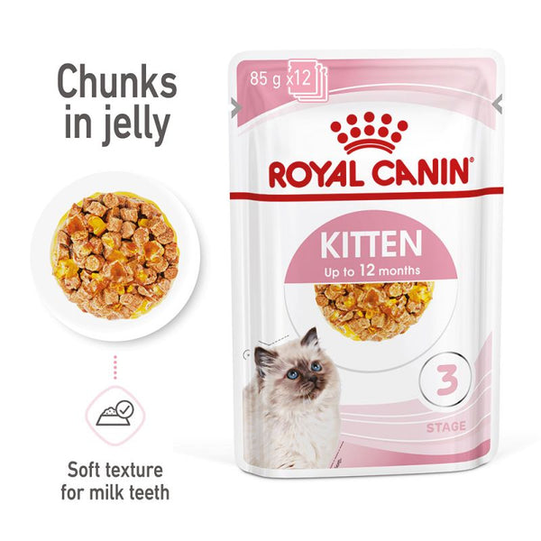 Royal Canin Kitten in Jelly Wet Cat Food