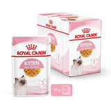 Royal Canin Kitten in Jelly Wet Cat Food