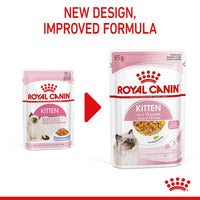 Royal Canin Kitten in Jelly Wet Cat Food