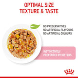Royal Canin Kitten in Jelly Wet Cat Food