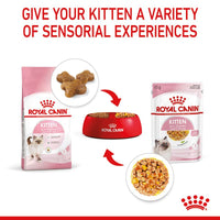 Royal Canin Kitten in Jelly Wet Cat Food