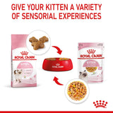 Royal Canin Kitten in Jelly Wet Cat Food
