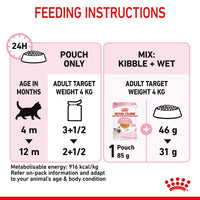Royal Canin Kitten in Jelly Wet Cat Food