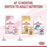 Royal Canin Kitten in Jelly Wet Cat Food
