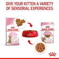 Royal Canin Sterilised Kitten in Gravy Cat Food