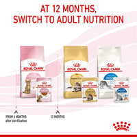 Royal Canin Sterilised Kitten in Gravy Cat Food