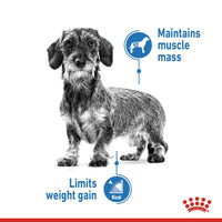 Royal Canin Care Nutrition Light Weight Care Mousse Dog Food