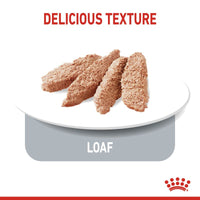 Royal Canin Care Nutrition Light Weight Care Mousse Dog Food