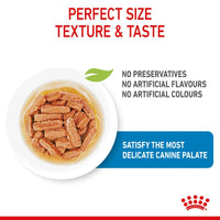 Royal Canin Medium Puppy in Gravy Dog Food