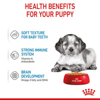 Royal Canin Medium Puppy in Gravy Dog Food