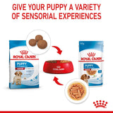 Royal Canin Medium Puppy in Gravy Dog Food