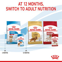 Royal Canin Medium Puppy in Gravy Dog Food