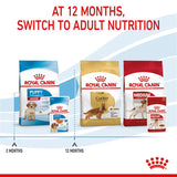 Royal Canin Medium Puppy in Gravy Dog Food