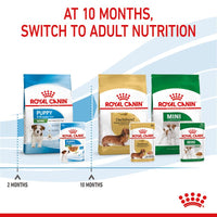 Royal Canin Mini Puppy in Gravy Dog Food