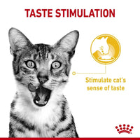 Royal Canin Sensory Mixed Pack in Gravy Wet Cat Food