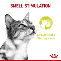 Royal Canin Sensory Mixed Pack in Gravy Wet Cat Food