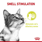 Royal Canin Sensory Mixed Pack in Gravy Wet Cat Food